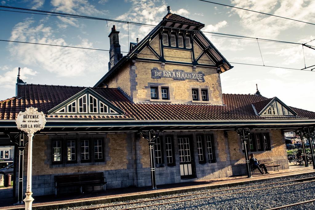 Villa Les Hirondelles De Haan Bagian luar foto